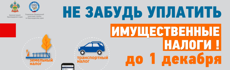 Уплата имущественного налога